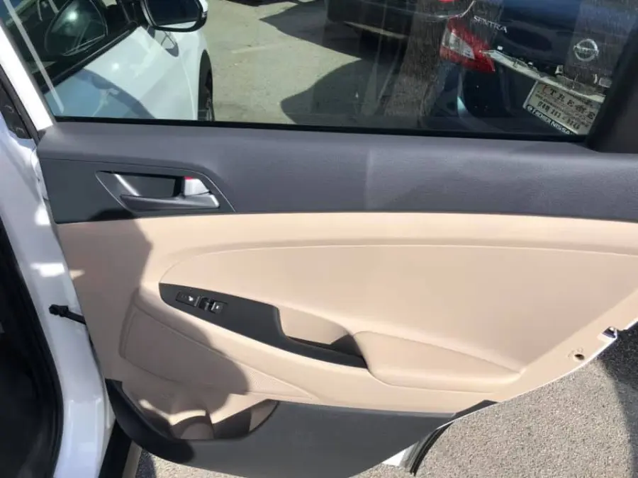 Professional Auto Detailer