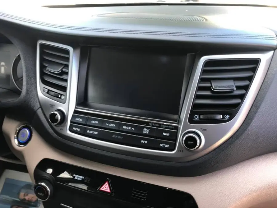 Professional Automotive Detailer