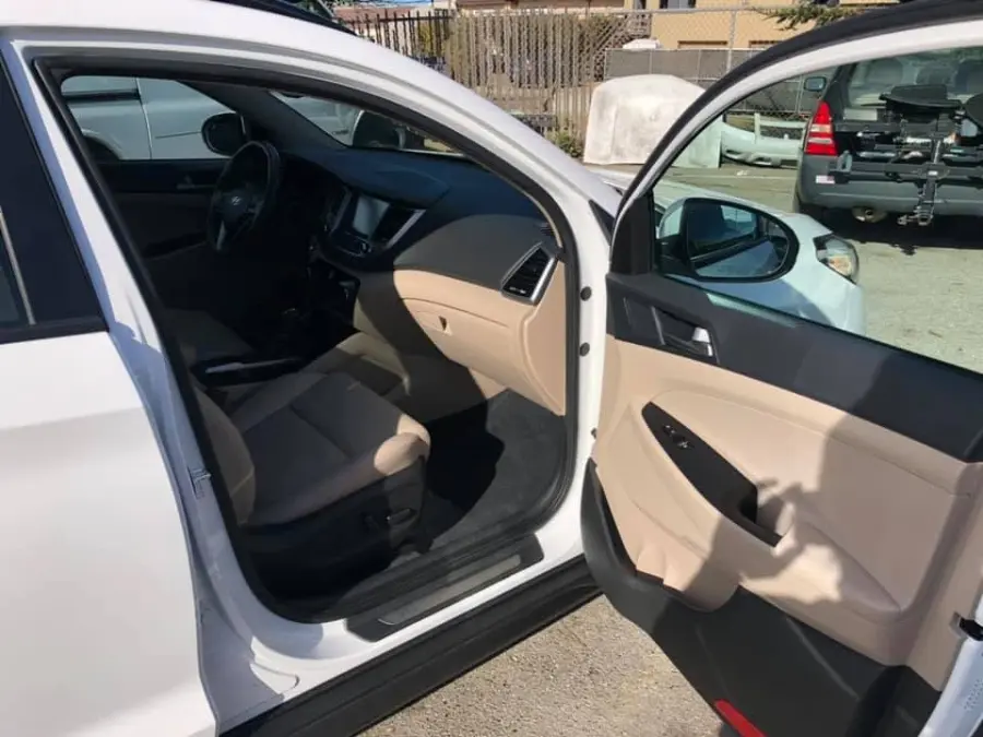 Professional Auto Detailing